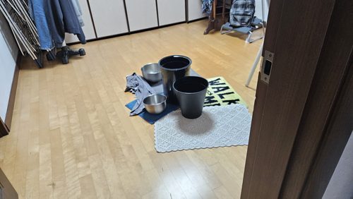 성동구 전화 연결 성동구 전화 연결