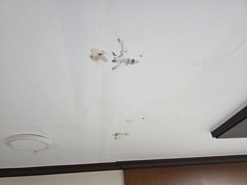 평택 누수탐지 팽성읍 단독주택 지하 보일러실 시공 후기 사진