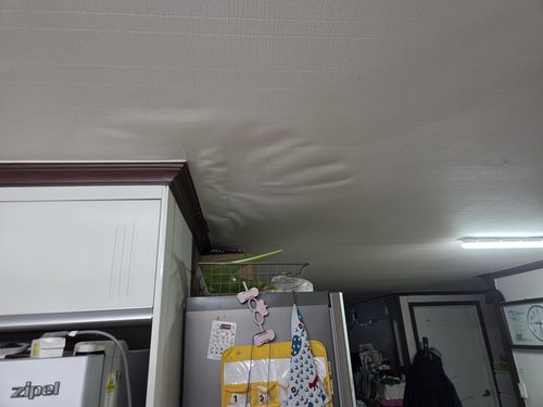 강서구 현장 확인
