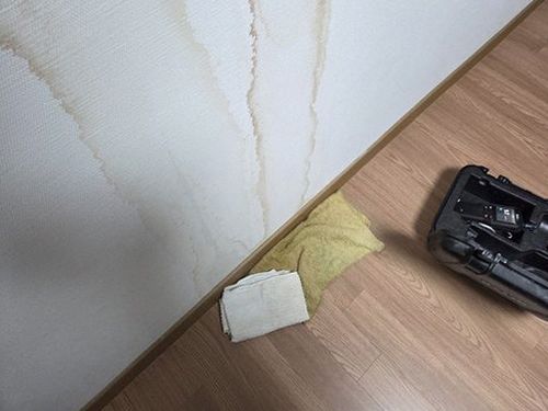 경기 현장 확인
