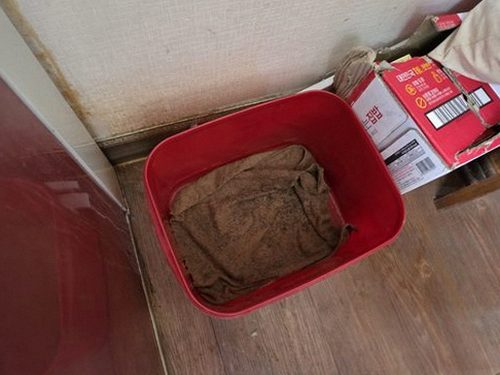 수원 근거 설명 수원 근거 설명