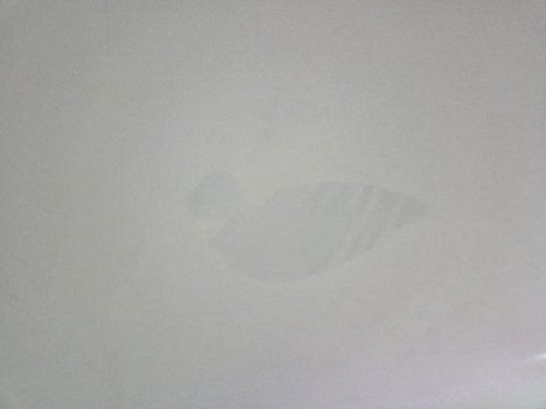 빌라 누수 피해 도배 복구 청주 누수탐지 빌라 누수 피해 도배 복구