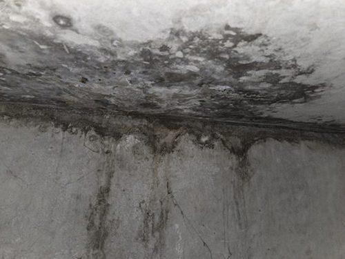 중앙동 단독주택 보일러실 시공 후기 사진