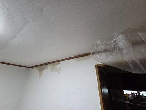 온수동 단독주택 마당 시공 후기 사진