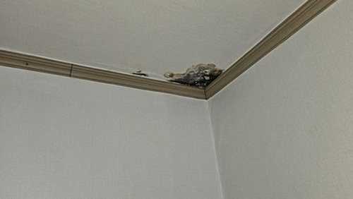 전농동 빌라 4층 현관 시공 후기 사진