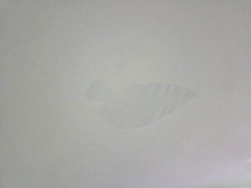 장교동 사무실 건물 4층 시공 후기 사진