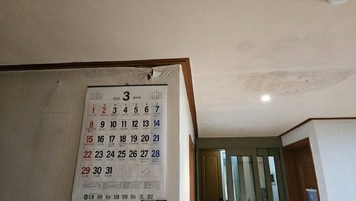 사근동 단독주택 마당 쪽 시공 후기 사진