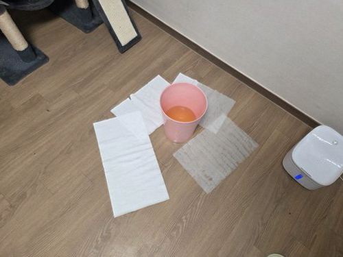 상월곡동 빌라 지하 시공 후기 사진