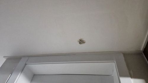 정릉동 빌라 1층 현관 시공 후기 사진