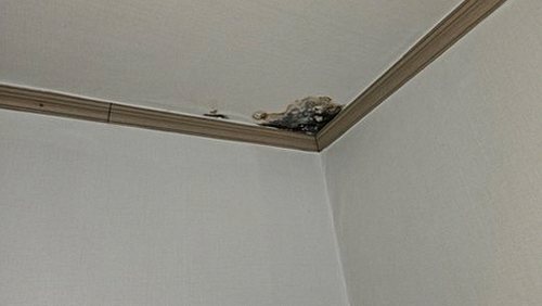 사직동 오피스텔 8층 시공 후기 사진