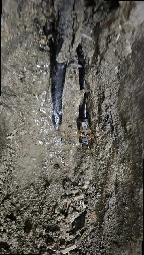 부평구 누수탐지 가스탐지기와 청음탐지기를 활용해 누수 위치를 확인하는 과정