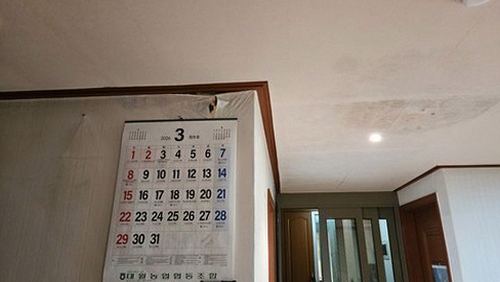 성동구 누수탐지 천장 누수 자국과 주변 마감 상태를 점검하는 모습