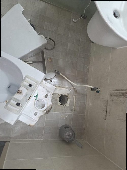 의왕 완료 점검 의왕 완료 점검