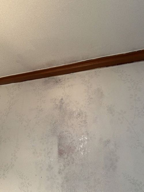 서울 중구 누수탐지 중구 삼각동 누수탐지 위층물샘수리 천장 얼룩에서 원인을 찾기까지