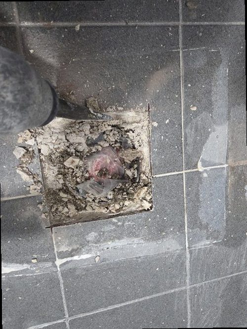 광명 누수탐지 열화상 카메라와 청음 탐지기를 활용한 누수 점검