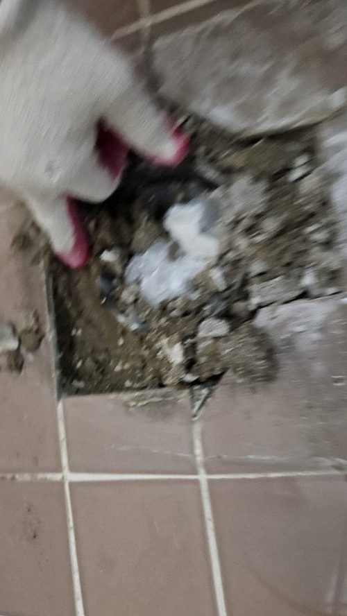 수지구 누수탐지 천장 얼룩과 물 사용 시점을 함께 살펴보는 누수 원인 점검