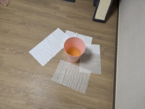 중곡동 누수탐지 누수보상 대상 미리 확인할 점검 항목