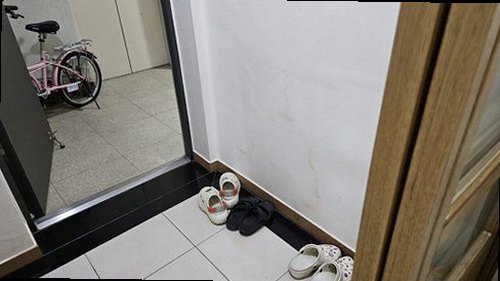 마포구 누수탐지 아래층 천장 누수 흔적과 수분 범위를 확인하는 현장