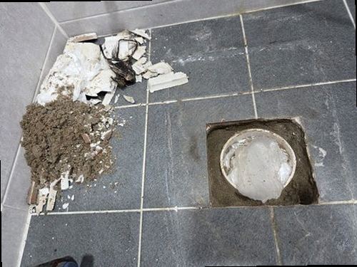 분당구 누수탐지 천장과 벽면에 나타난 누수 흔적을 확인하는 현장 점검