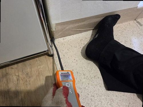 만안구 누수탐지 천장 누수 흔적과 벽면 수분 상태를 확인하는 모습