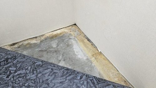 동작구 누수탐지 사당동 누수탐지 거실 천장 얼룩 해결로 마무리한 사례