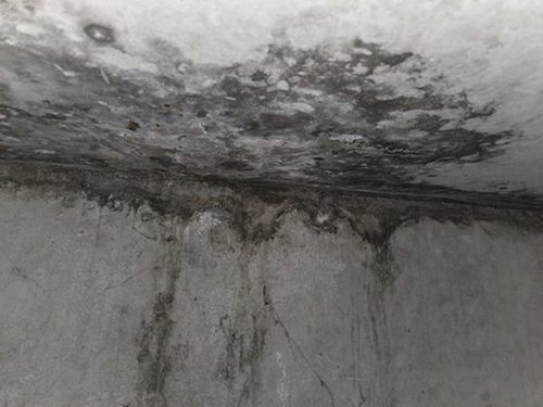 송파구 누수탐지 풍납동 단독주택 지하 보일러실 시공 후기 사진