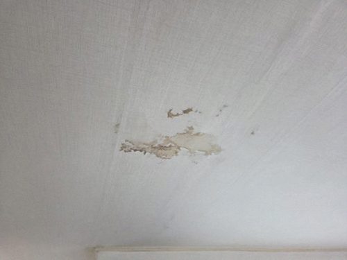 용산구 누수탐지 천장 물자국과 누수 위치 확인을 위한 현장 점검