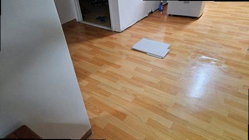 동두천 누수탐지 거실 천장에 번진 누수 흔적과 벽면 물자국