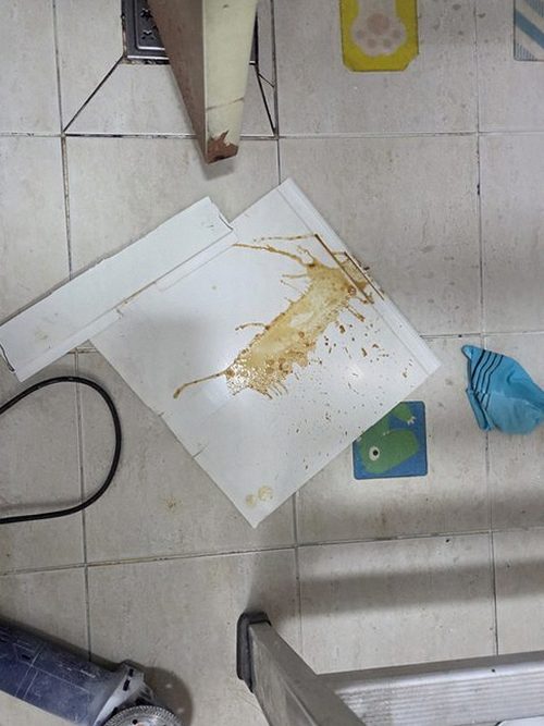 파주 누수탐지 수도계량기 별침과 밸브 점검 장면