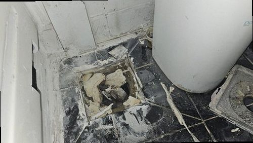 양주 재점검 기록 양주 재점검 기록
