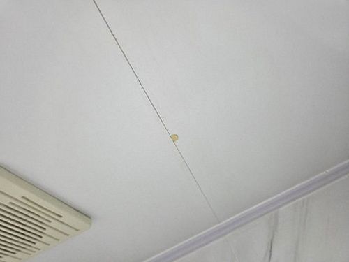 양주 누수탐지 광사동 누수탐지 아래층베란다물샘 원인 직접 해보니 달랐다