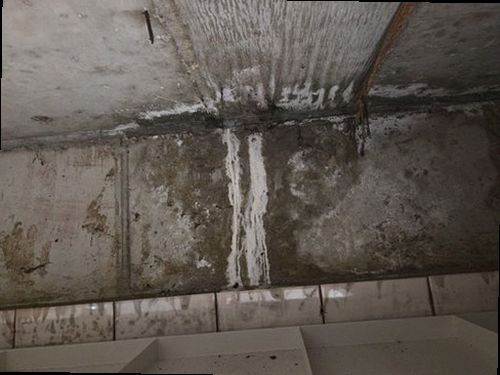 아산시 누수탐지 누수 피해 부위와 열화상 카메라를 확인하는 현장