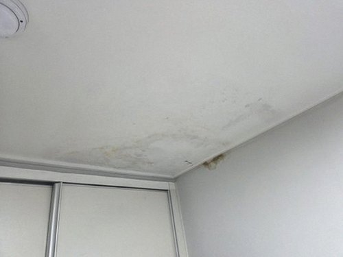 덕양구 누수탐지 행신동 누수탐지 누수수리업체 빠른 현장 확인이 중요한 이유