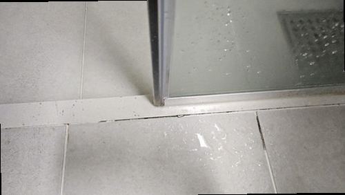 서대문구 재점검 기록 서대문구 재점검 기록