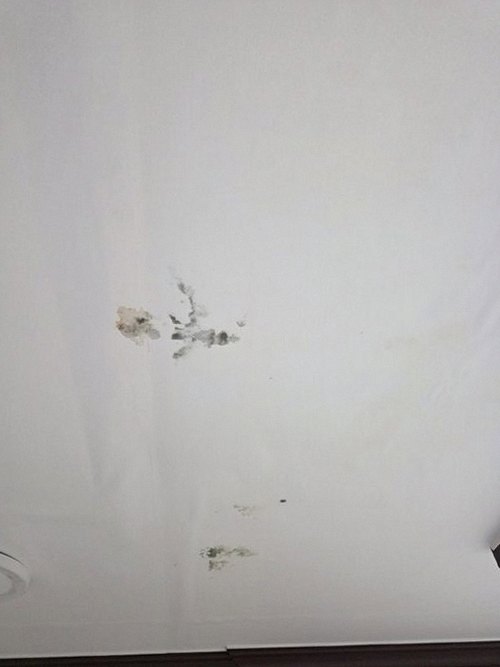 광주 누수탐지 고산동 누수탐지 누수증상대처 천장 얼룩은 왜 생길까