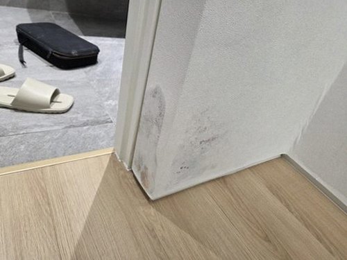 강서구 등촌동 누수탐지 거실도배변색 초기 확인으로 피해를 줄이는 방법