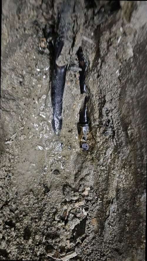 옹진군 누수탐지 벽지에 번진 물자국과 누수 피해가 나타난 실내 벽면