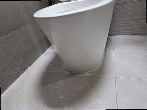 관악구 누수탐지 욕실 천장 누수 피해와 점검 위치