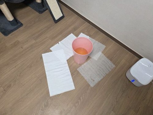 오정구 누수탐지 삼정동 누수탐지 거실누수전문업체 방치 시 위험 3가지