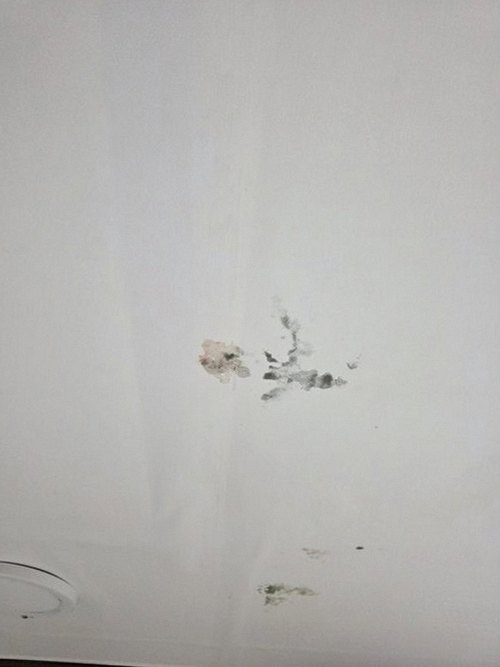 오정구 출동 접수