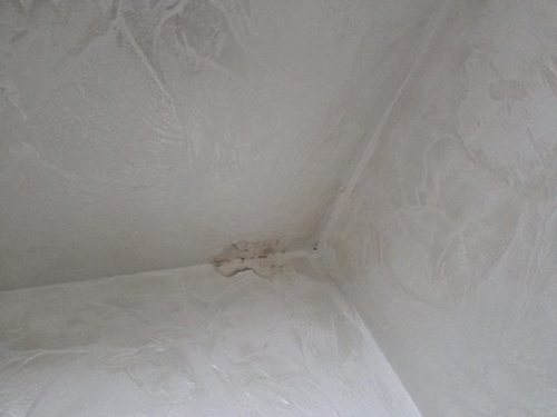 청주시 서원구 누수탐지 사직동 다세대주택 지하 창고 시공 후기 사진