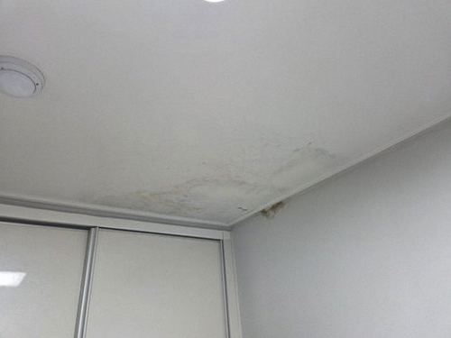 성북구 누수탐지 상가 천장 누수 원인 해결