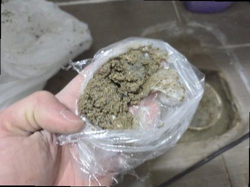 성북구 누수탐지 천장 벽지에 번진 누수 흔적과 습기 상태