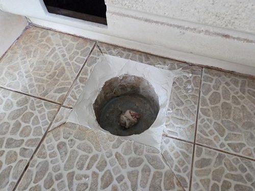 옥천군 누수탐지 압력 검사와 탐지 장비로 배관 누수 가능성을 확인하는 과정