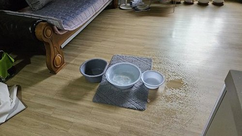 금천구 누수탐지 금천동 오피스텔 7층 거실 천장 시공 후기 사진