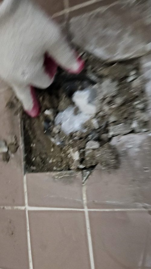 청주시 흥덕구 누수탐지 가경동 누수탐지 빌라 지붕에서 의외로 숨은 물길