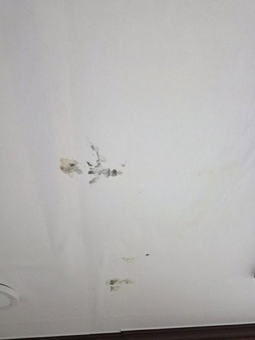 부산 서구 누수탐지 안방 누수, 방치와 조기 대응