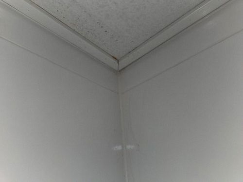 세종시 누수탐지 금남면 누수탐지 아랫집벽지젖음 원인 구분 체크리스트