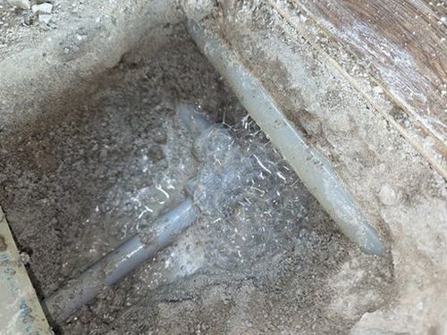 세종시 함께 확인 세종시 함께 확인