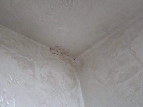 부산진구 누수탐지 개금동 누수탐지 안방천장물고임 미리 확인할 점검 항목과 대안